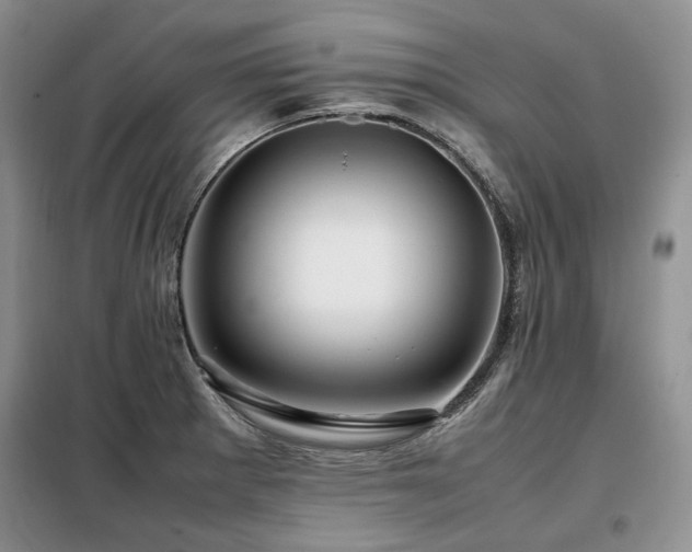 X0000099311281200805021305