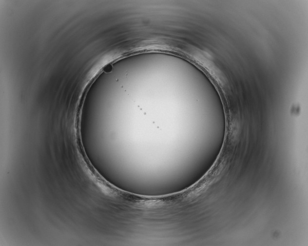 X0000099311282200805021305