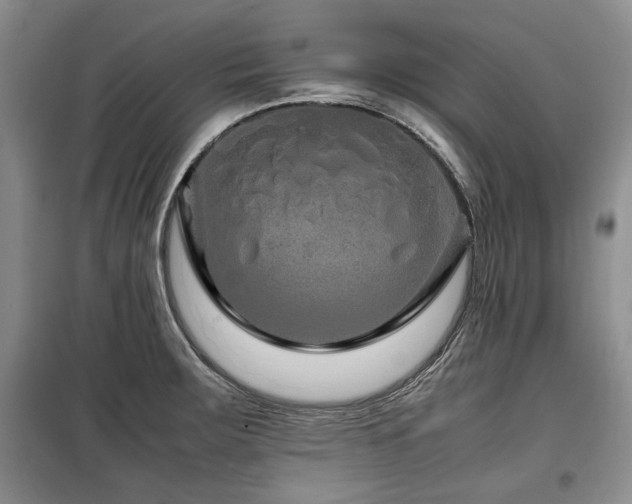 X0000099311283200805021305
