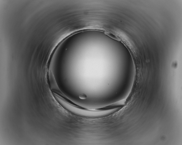 X0000099311284200805021305