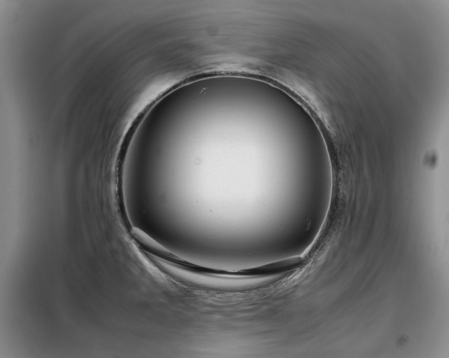 X0000099311285200805021305
