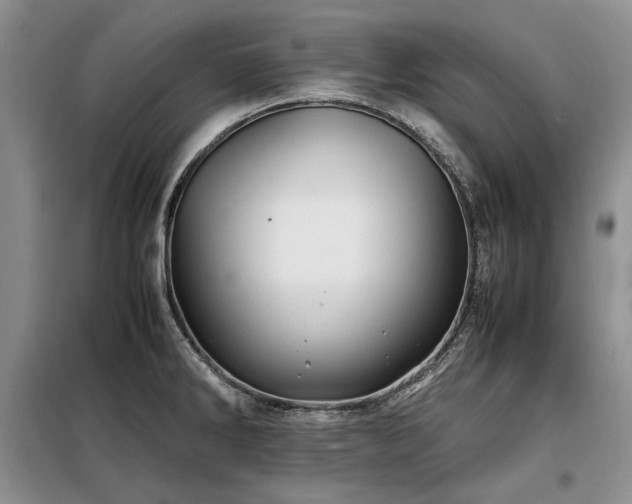 X0000099311286200805021305