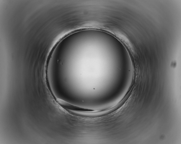 X0000099311288200805021305