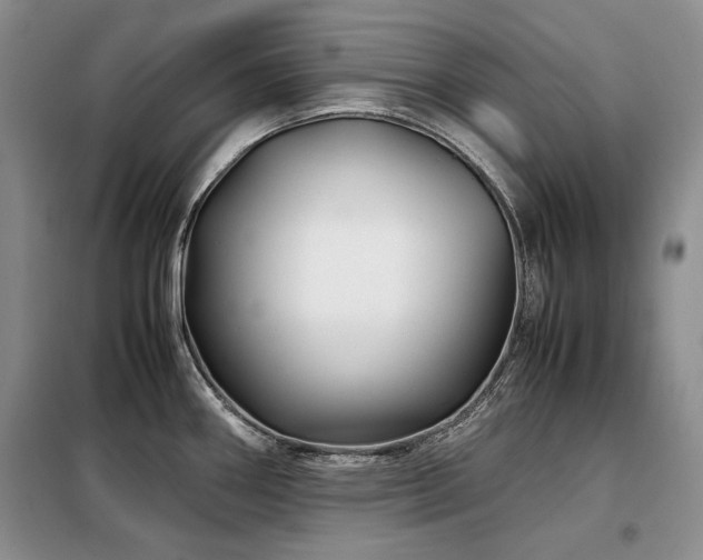 X0000099311290200805021305