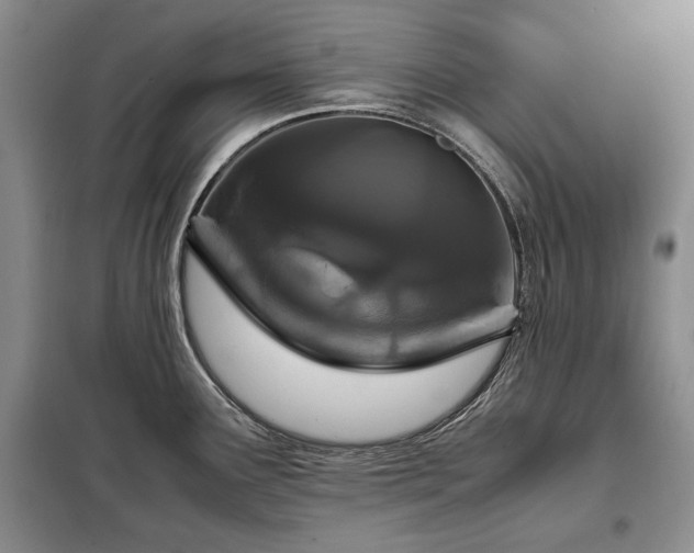 X0000099311291200805021305