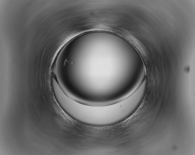 X0000099311292200805021305