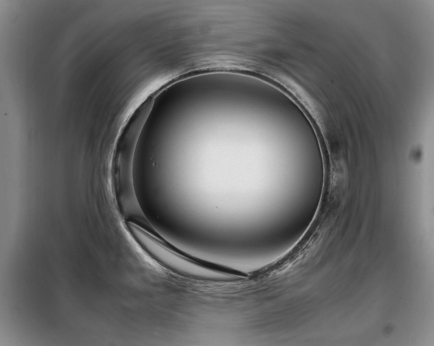 X0000099311293200805021305