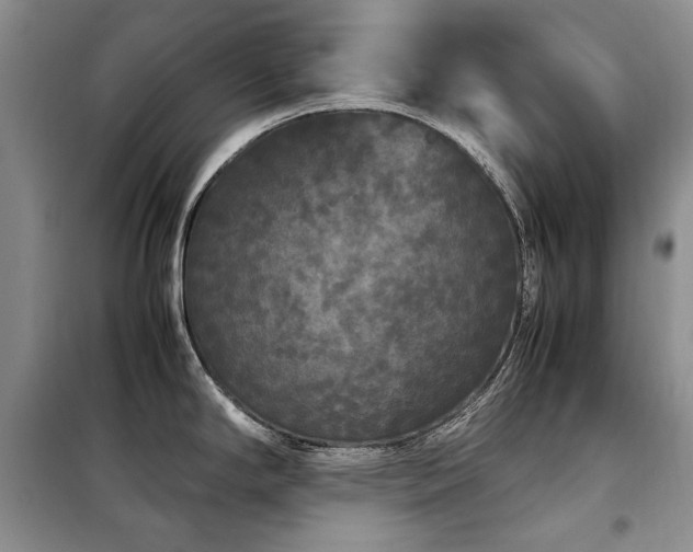X0000099311294200805021305