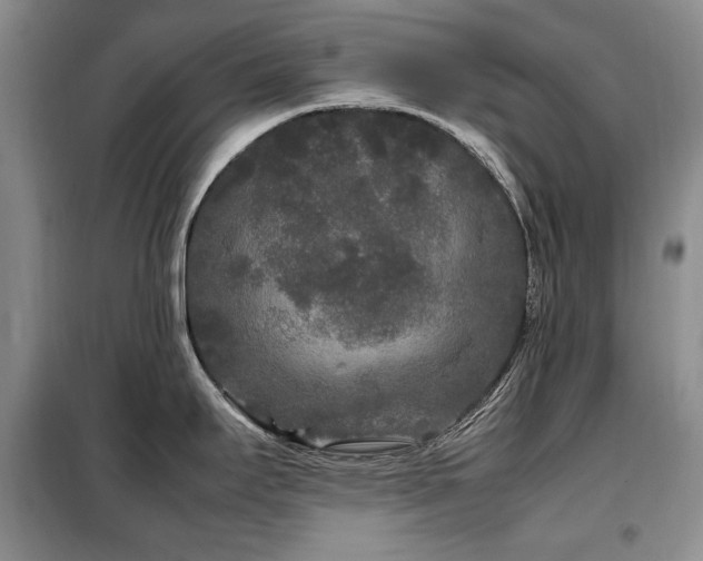 X0000099311295200805021305