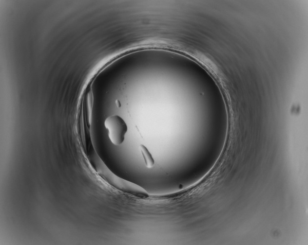 X0000099311296200805021305