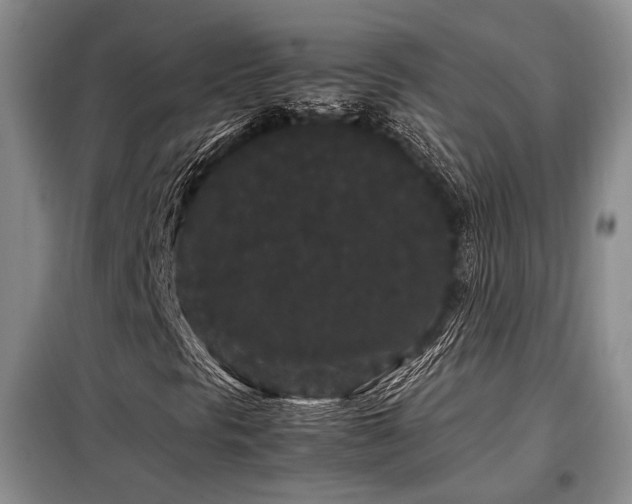 X0000099311297200805021305