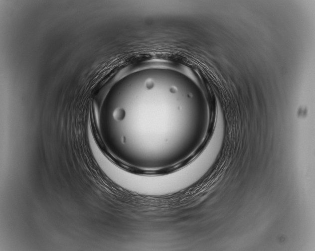 X0000099311298200805021305