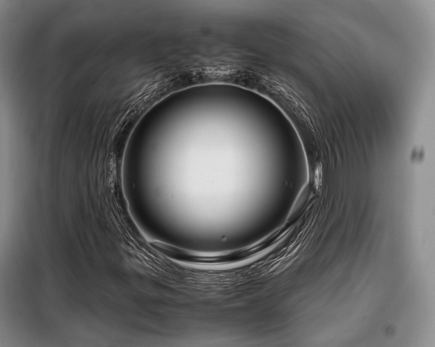 X0000099311299200805021305