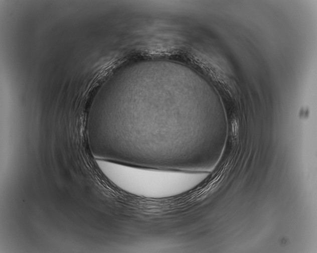 X0000099311300200805021305