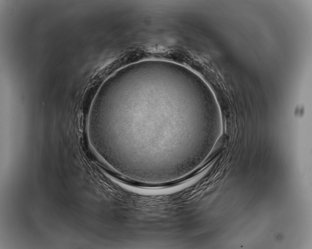 X0000099311301200805021305