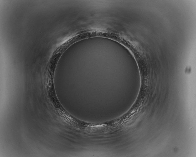 X0000099311303200805021305