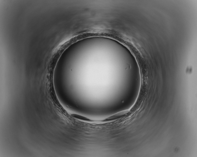 X0000099311304200805021305