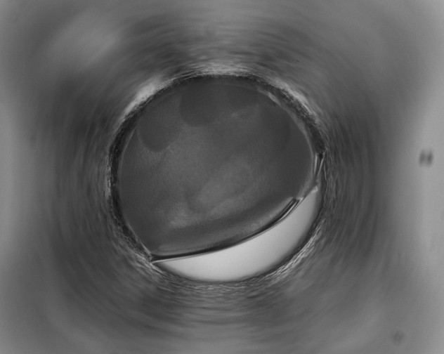 X0000099311306200805021305