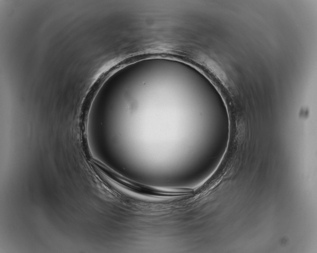 X0000099311308200805021305
