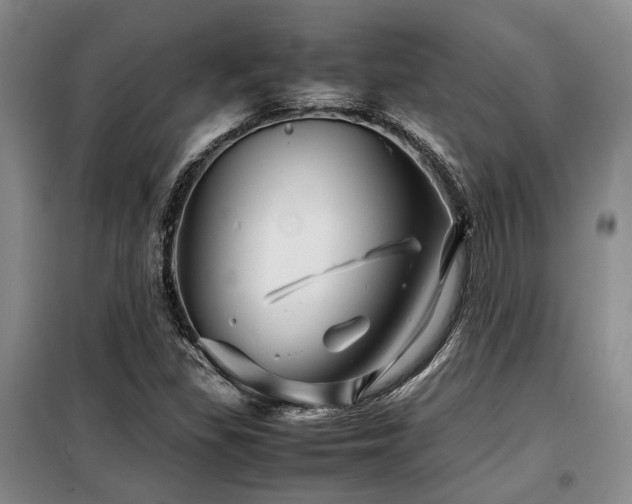 X0000099311309200805021305
