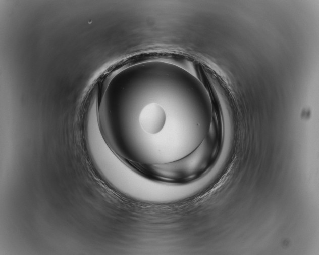X0000099311310200805021305