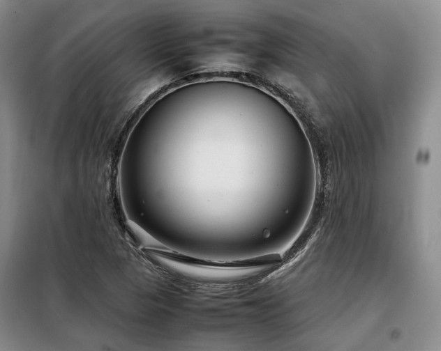 X0000099311313200805021305