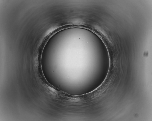 X0000099311315200805021305