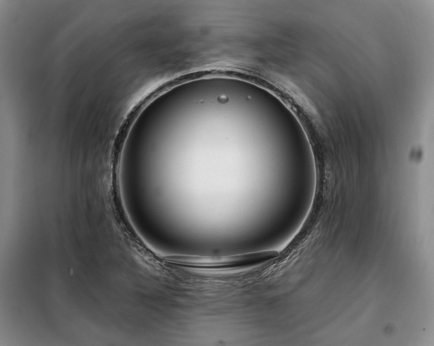 X0000099311316200805021305