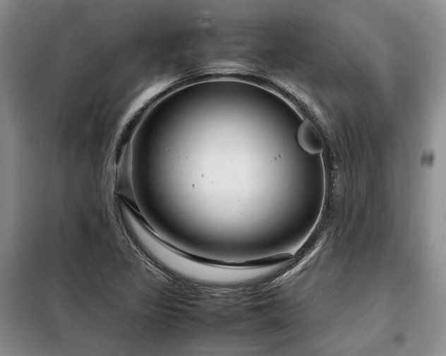 X0000099311317200805021305