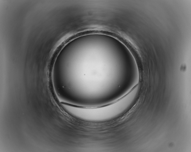 X0000099311318200805021305
