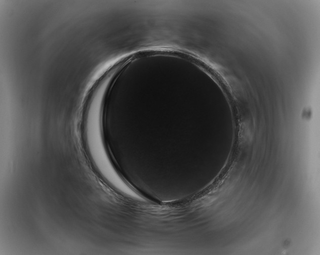 X0000099311319200805021305
