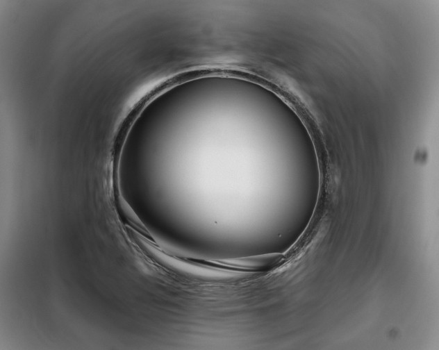 X0000099311320200805021305