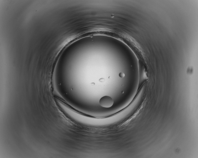 X0000099311321200805021305