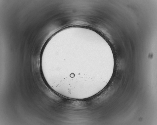 X0000099311322200805021305