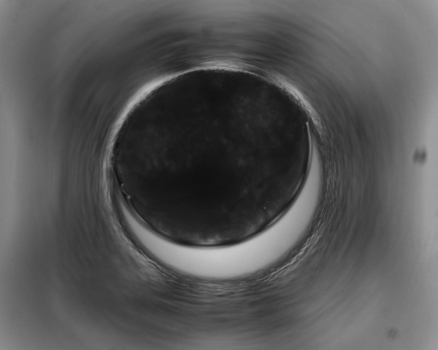 X0000099311323200805021305