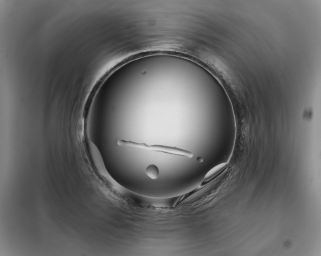 X0000099311324200805021305