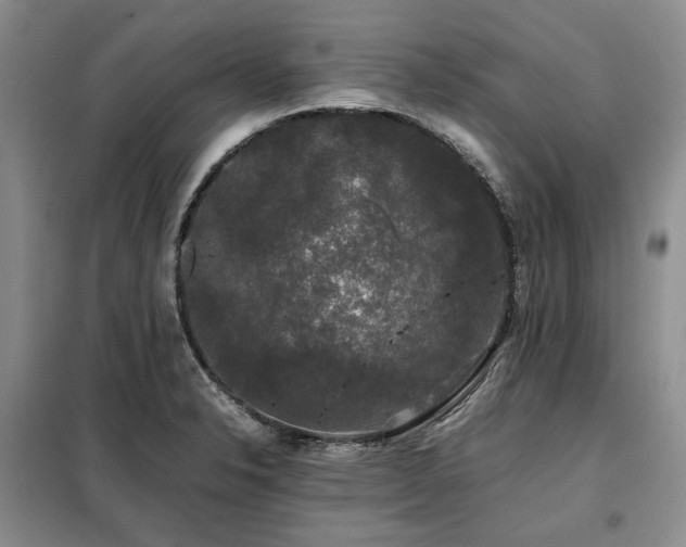X0000099311326200805021305