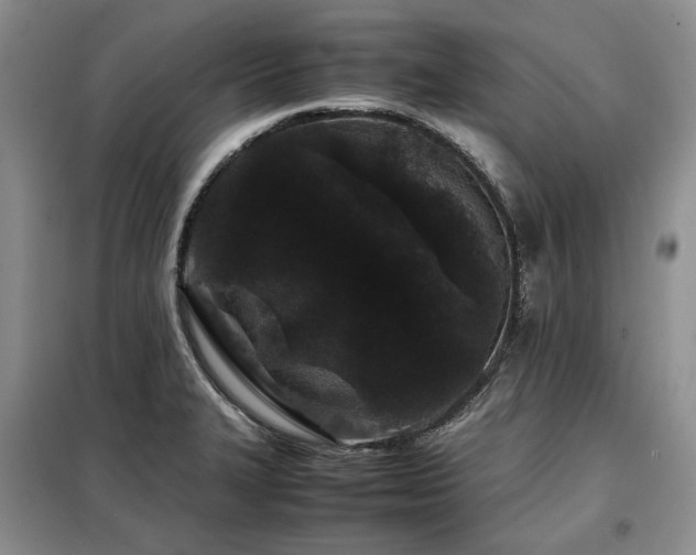 X0000099311327200805021305