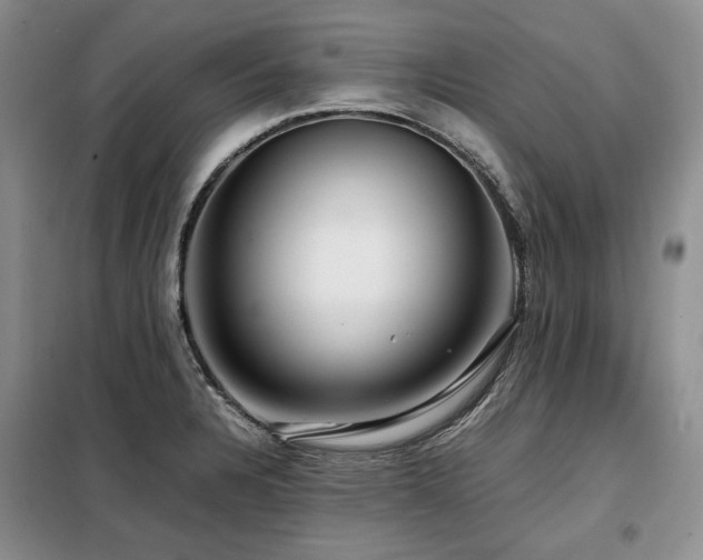 X0000099311328200805021305