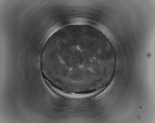 X0000099311329200805021305