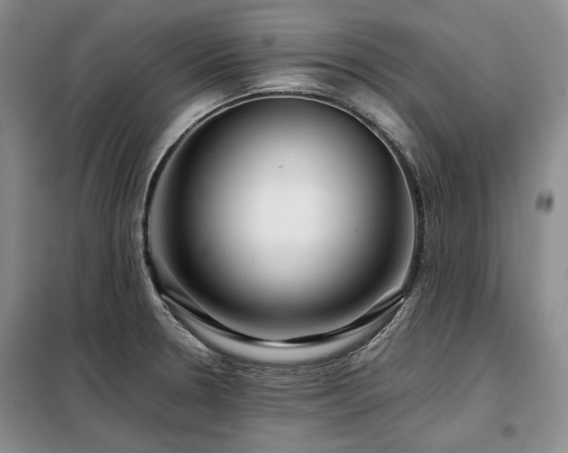 X0000099311330200805021305