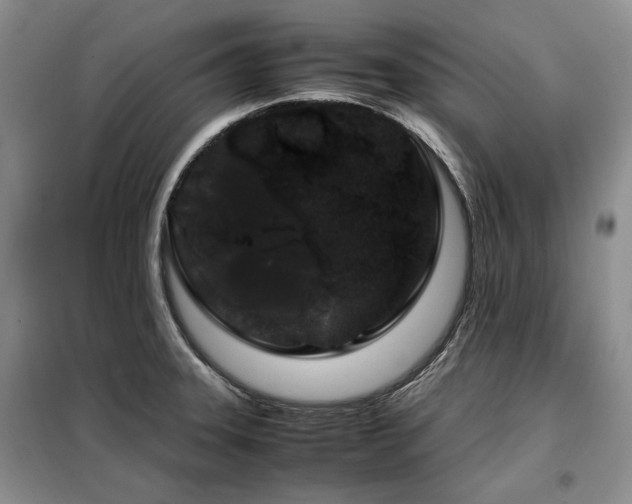 X0000099311331200805021305