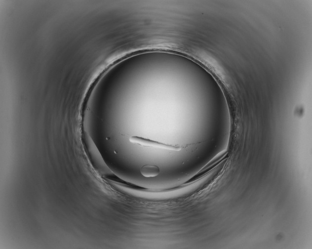 X0000099311332200805021305