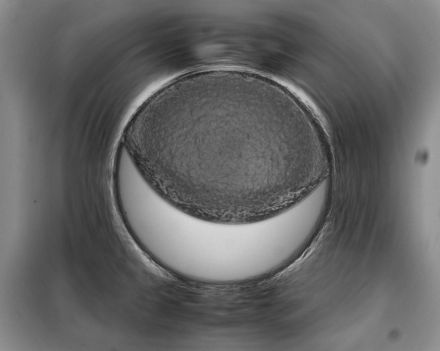 X0000099311333200805021305