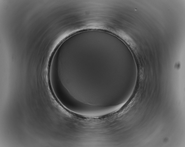 X0000099311334200805021305