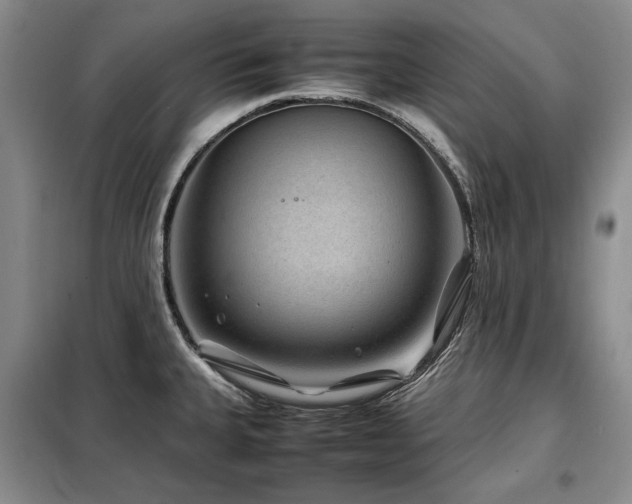 X0000099311335200805021305