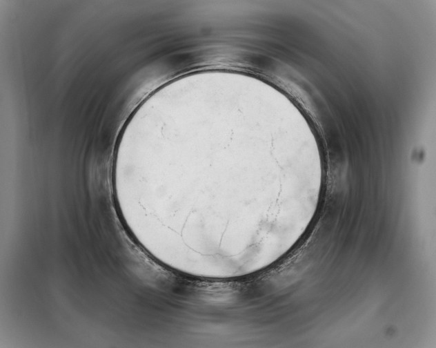 X0000099311338200805021305