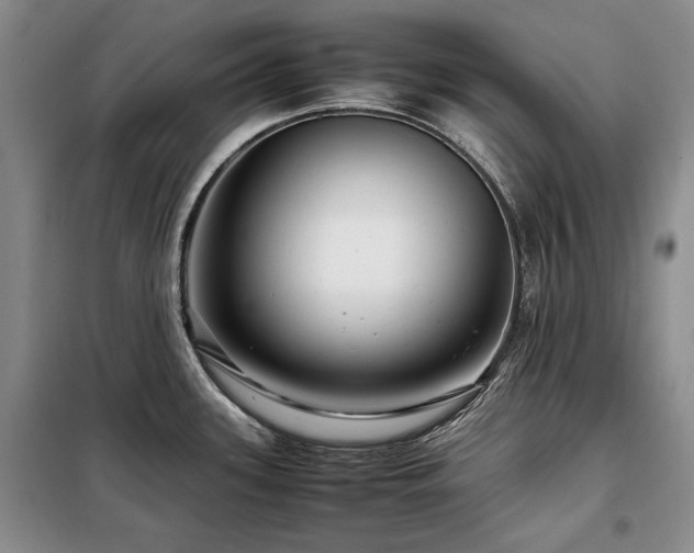 X0000099311339200805021305