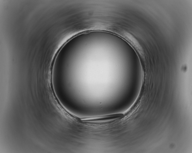 X0000099311340200805021305