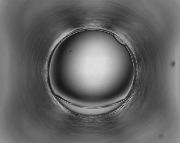 X0000099311341200805021305